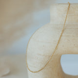 rollo chain