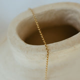 rollo chain